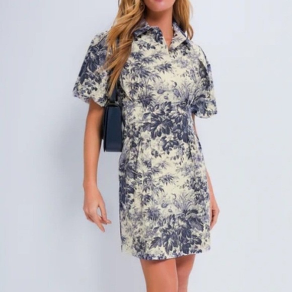 Tuckernuck Dresses & Skirts - Tuckernuck Delaney Toile Print Dress Women XL Blue Cream Short Sleeve Pockets